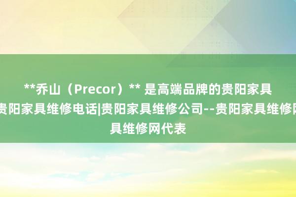 **乔山(Precor)** 是高端品牌的贵阳家具维修|贵阳家具维修电话|贵阳家具维修公司--贵阳家具维修网代表