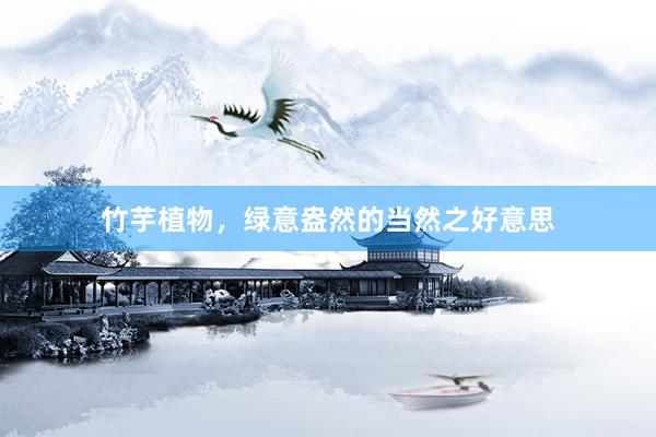 竹芋植物，绿意盎然的当然之好意思