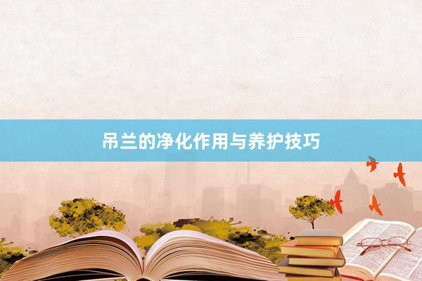 吊兰的净化作用与养护技巧
